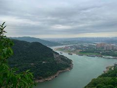 -铁山坪森林公园