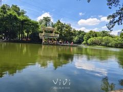 -晓港公园
