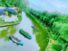 -上海鲜花港