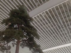 -青岛胶东国际机场
