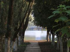 -洋湖国家湿地公园