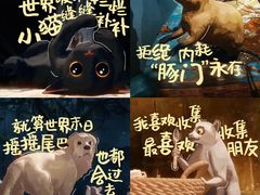 -万达影城(CBD万达广场IMAX店)