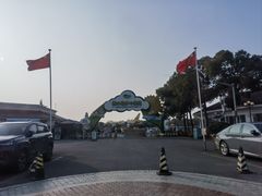 -苏州太湖西山岛开心农场