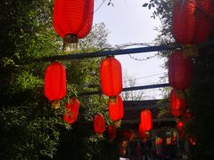 -茯茶镇