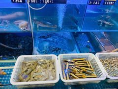 -金龙·打边炉(武进路店)