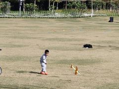 -上海长兴岛郊野公园