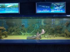 -厦门海底世界