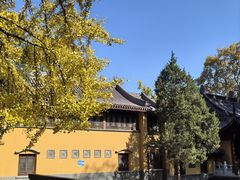 -灵谷景区