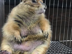 -乐宠宠物店(世纪金源店)