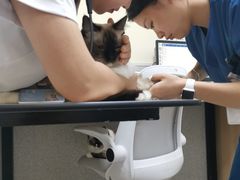 -谐和贝康宠物医院24小时·宠保定点(急重症转诊中心)