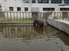 -保定市动物园