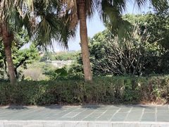 -水濂山森林公园