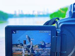 -海珠湖公园
