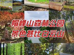 -广州市帽峰山景区