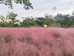 -自然谷恐龙园