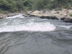 -千岛湖九龙溪漂流