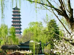 -陈记菜馆·非遗淮扬菜(东关街教场店)