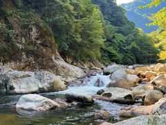 -炎陵县神农谷国家森林公园