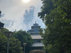 -金鸡湖桃花岛