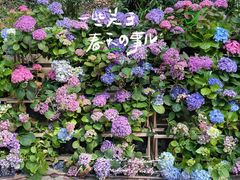 -大金鹰园