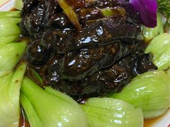 葱烧辽参-鹿鸣春饭店(总店)