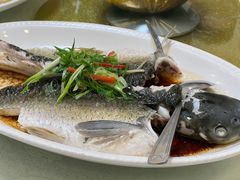 -津津菜馆(绝没分店)