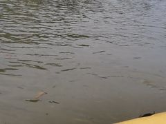 -杭州双溪漂流景区