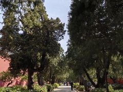 -北京市劳动人民文化宫(太庙)