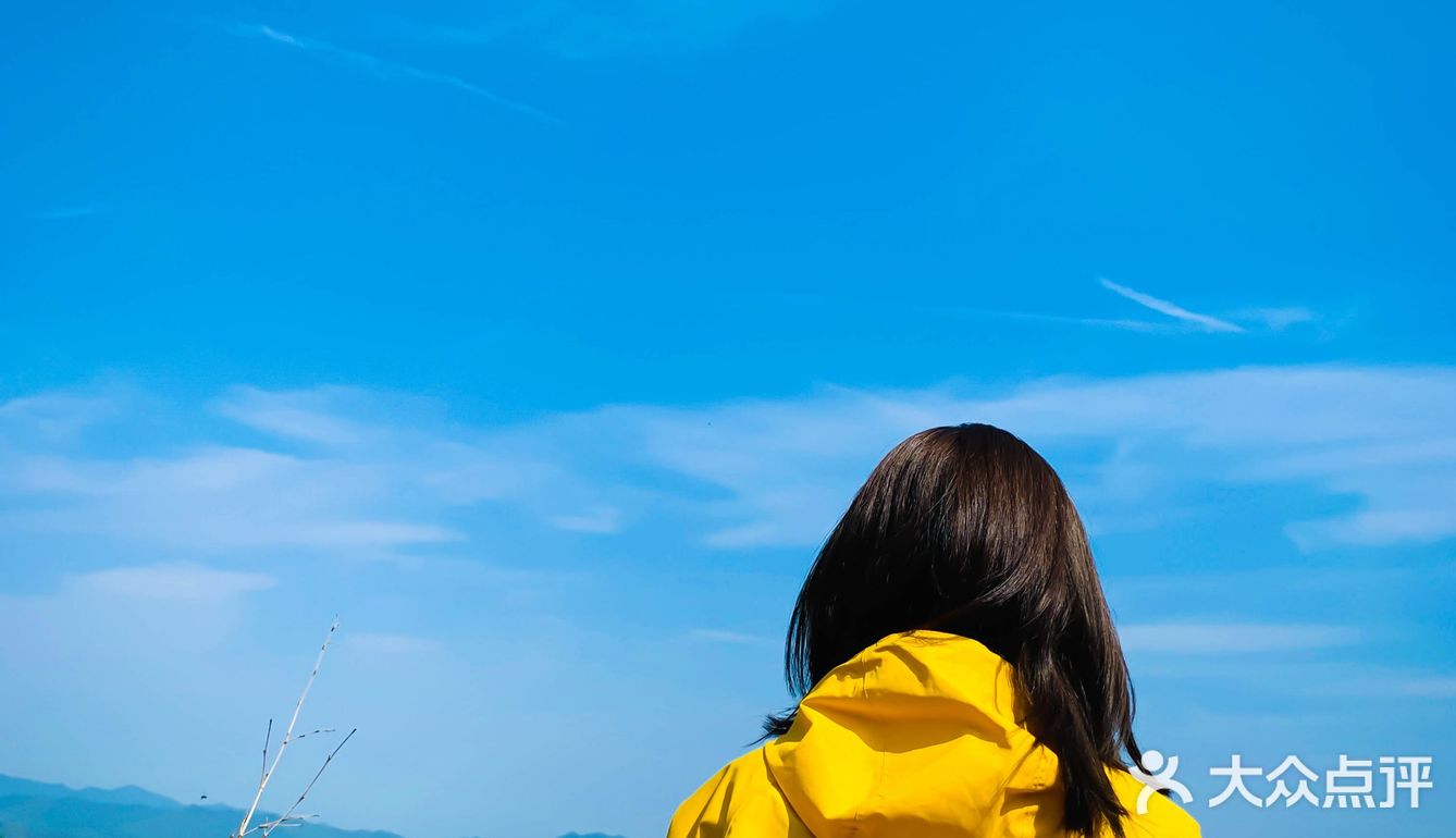 杭州露营攻略｜这3个山顶营地自驾可达，值得1去