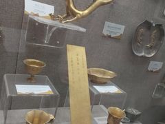 -烟台自然博物馆