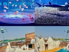 -秦皇岛乐岛海洋王国