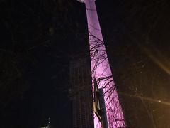 -辽宁电视塔