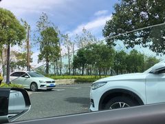 -春花秋色城市公园