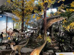 -湖南省地质博物馆