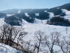 -中旅松花湖滑雪场