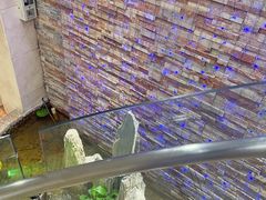 -日照君临天下大酒店
