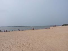 -瑶湖郊野森林公园