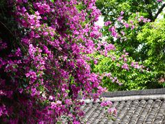 -成都杜甫草堂博物馆