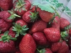 奶油草莓-家辉生鲜超市(东五路店)