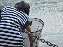 -秦岭终南山世界地质公园翠华山景区