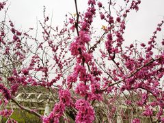 -苏州上方山国家森林公园
