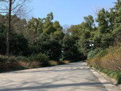 -蜀冈西峰生态公园