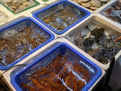 -广东名门