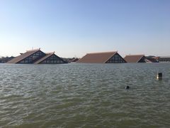 -广富林郊野公园