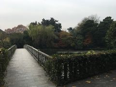 -西湖外事游船(花港观鱼码头)