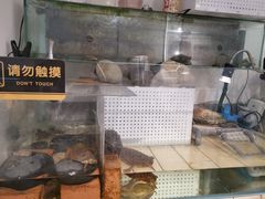 -甜心闲生传统手工冰粉(奎星楼店)