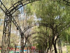 -沕沕水生态风景区