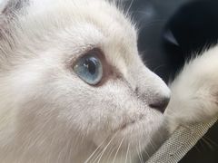 -博特宠物医院24h犬猫全科.骨科·异宠
