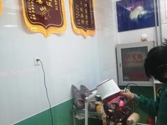 -利又安动物医院··老年病·猫科犬科·中兽医