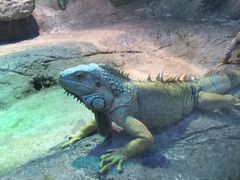 -福州罗源湾海洋世界旅游区